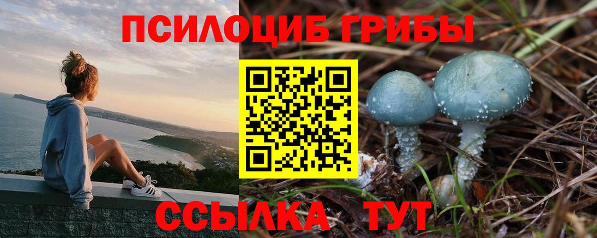 Псилоцибиновые грибы мухоморы Менделеевск
